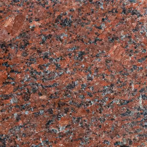 Vanga